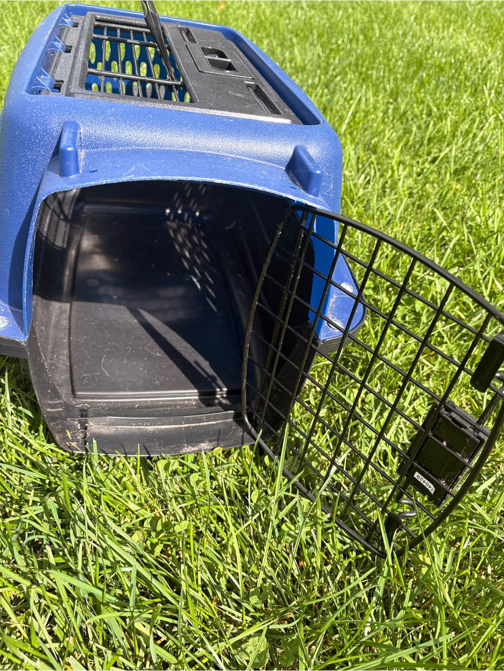 small animal CARRIER cat or very small dog